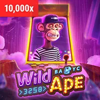 Hỗ trợ khách hàng 24/7 tại 12bet casino