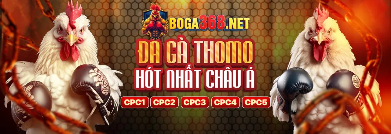Sới gà đá gà trực tuyến sôi động tại 12bet casino